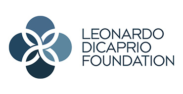 image-logo-LDF